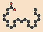 Cervonic acid molecule