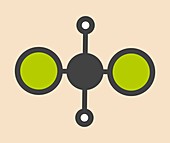 Dichloromethane solvent molecule