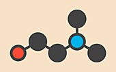 Dimethylaminoethanol molecule