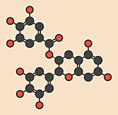 Epigallocatechin gallate molecule