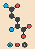 Glutamine amino acid molecule