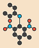 Pendimethalin herbicide molecule