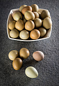 Pheasant eggs