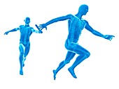 Skeletal system of runners,Illustration