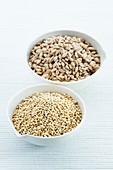 Pearl barley and Quinoa seeds