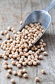 Dried Chickpeas