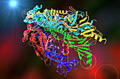 Acetylcholine receptor,illustration