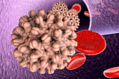 Hepatitis B virus in blood,illustration