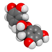 Epicatechin chocolate flavonoid molecule