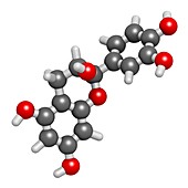 Epicatechin chocolate flavonoid molecule