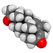 Megestrol molecule