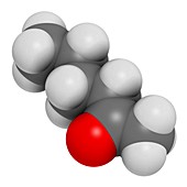 Methyl butyl ketone molecule