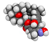 Milbemycin oxime antiparasitic drug