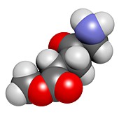 Methyl aminolevulinate drug molecule