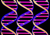 Computer graphic of three strands of DNA