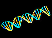 Computer graphic of DNA helix structure