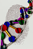 Artwork of DNA with base pairs on a fingerprint