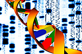 Computer artwork of DNA molecule and sequences