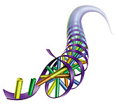 DNA artwork