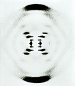 DNA,X-ray diffraction