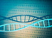 DNA and a genetic sequence