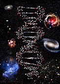 Genetic universe