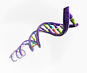 DNA molecule,computer artwork