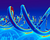 DNA molecule