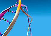 DNA molecule,computer artwork