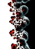 DNA molecule,computer artwork