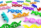 DNA molecules,artwork