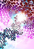 DNA nanotechnology,computer artwork