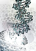 DNA nanotechnology,computer artwork