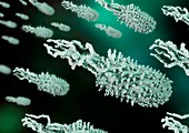 Engineered bacteria,conceptual image