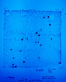 Grid of DNA fragments and probes in chromosome 17