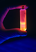 AIDS gene therapy research: test-tube in UV light