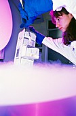 DNA researcher removes tissue from liquid nitrogen
