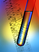 DNA fingerprint and a test-tube