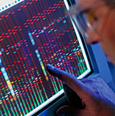 Technician analyses a gene sequence on a computer