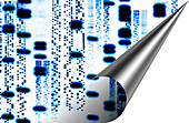 Computer artwork of DNA autoradiogram sequences