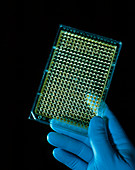 Hand holding tray containing DNA from human genome