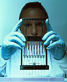 Technician preparing samples for DNA sequencing