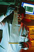 Technician holding electrophoresis sequencer tubes