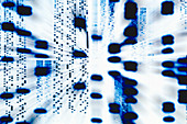 DNA autoradiogram