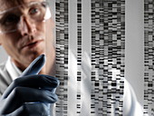 DNA autoradiogram