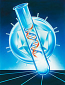 Viral DNA research