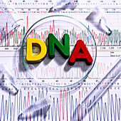 DNA analysis