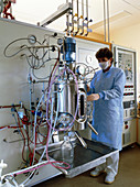 Technician working on a bacterial fermenter