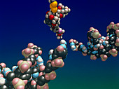 Cleavage of DNA by designed enediyne: 3rd of 4