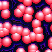 Computer enhanced coloured LM of lipsomes